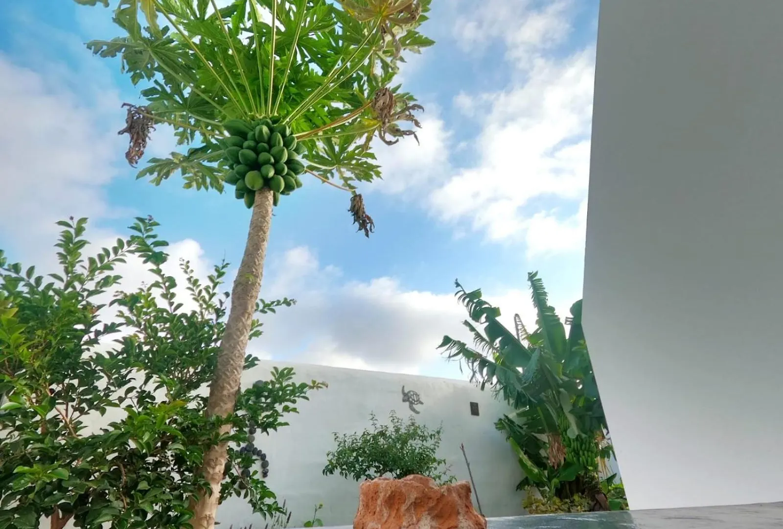 Appartement Jardin Del Mar à Tinajo